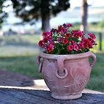 Porsenna Villastrada (Umbria)